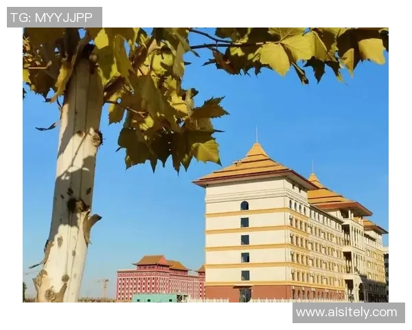 武汉羽毛球队的崛起之路:从默默无闻到世界杯舞台的辉煌历程